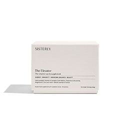 Sisterly The Elevator Sisterly The Elevator