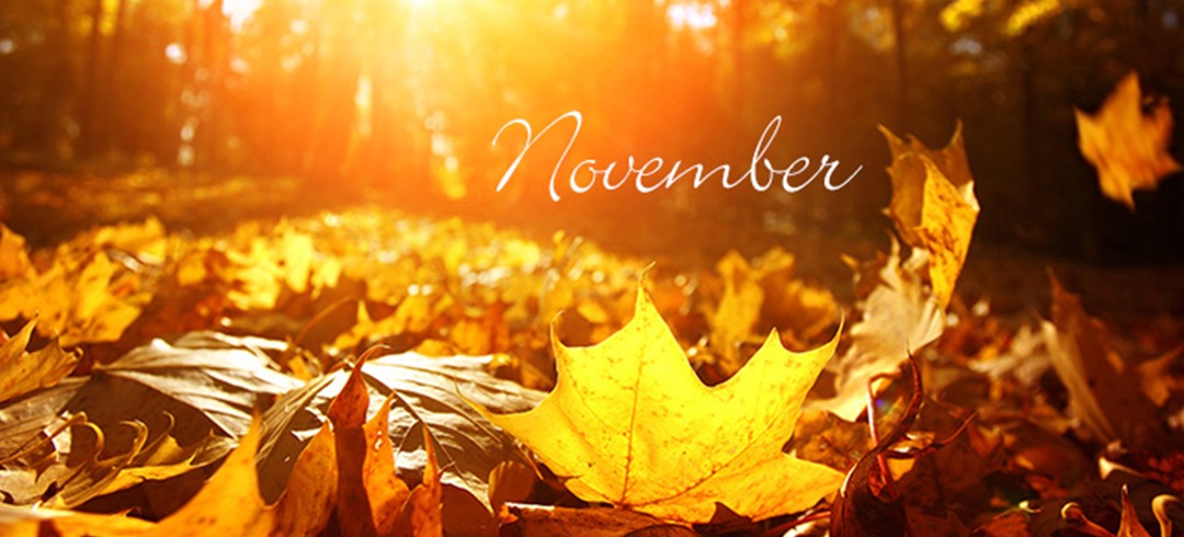 Another November