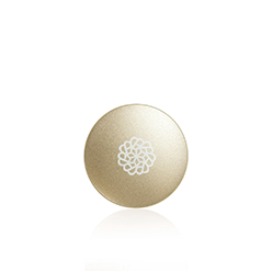 BRUSH SOAP WITH REMOVABLE SCRUBBING PAD