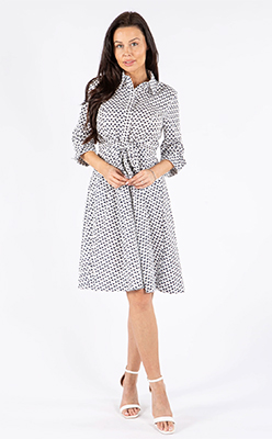 Pamela Scott Chevron Print Shirt Dress
