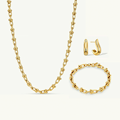 Allure Necklace, Allure Bracelet & Luxe Earrings Set Gold