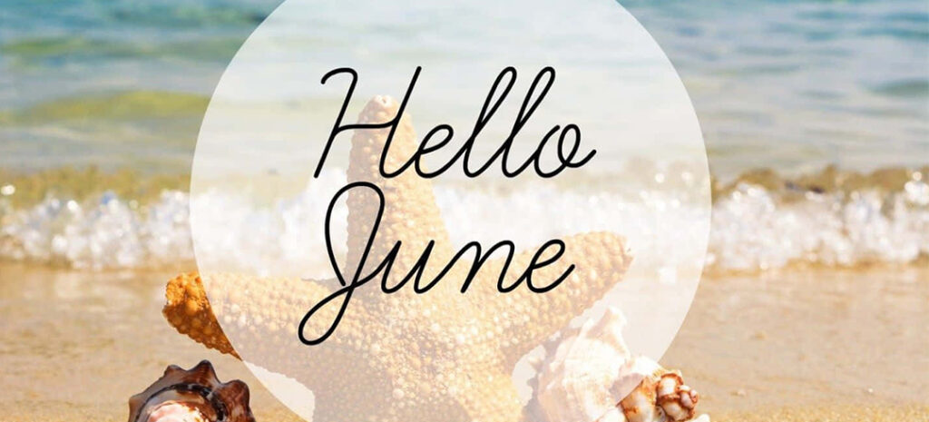 June-2025---Lisa's-Lust-List