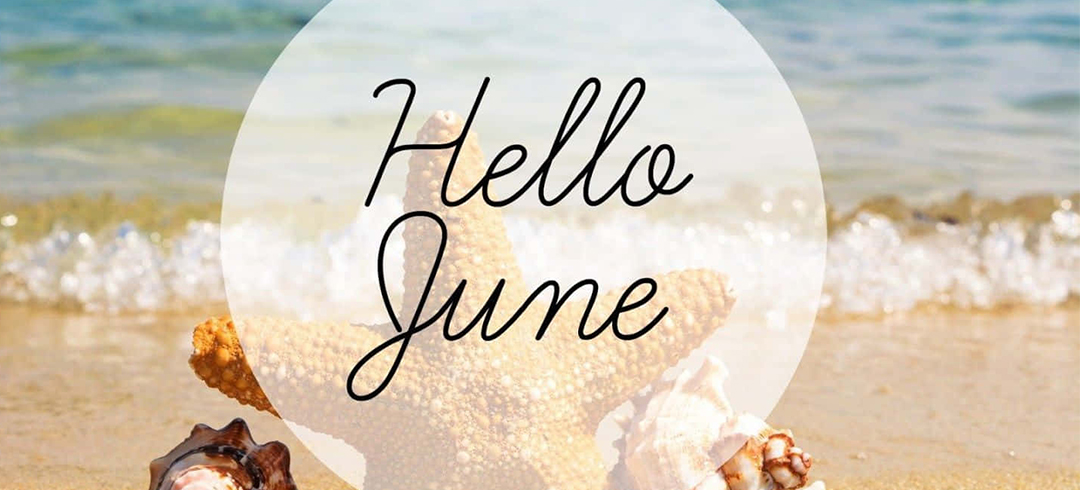 June-2025---Lisa's-Lust-List