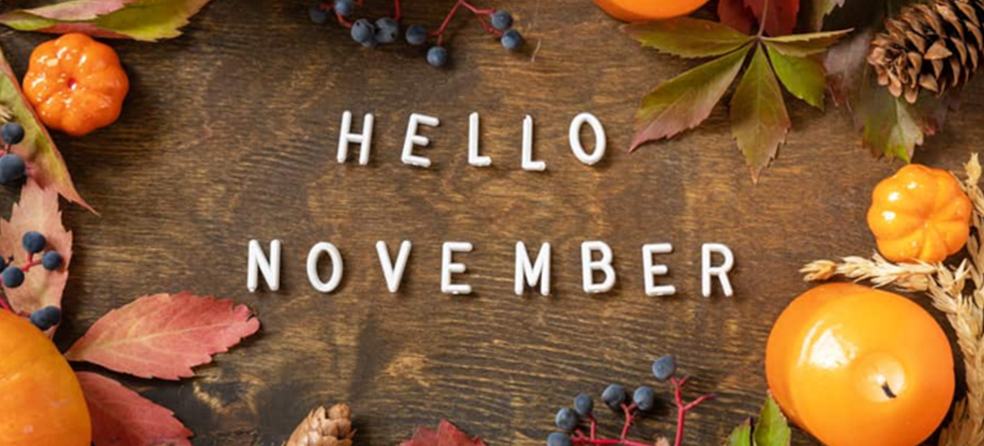 Lisa's-Lust-List---November-2025