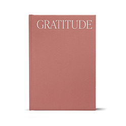 The-Head-Plan-Gratitude-Journal-Pink
