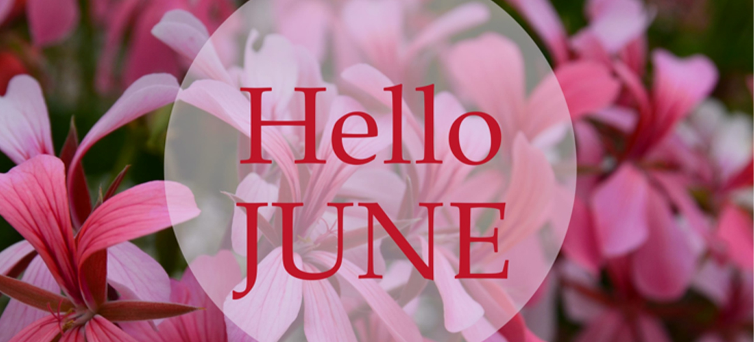 June-2026,-Lisa's-Lust-List